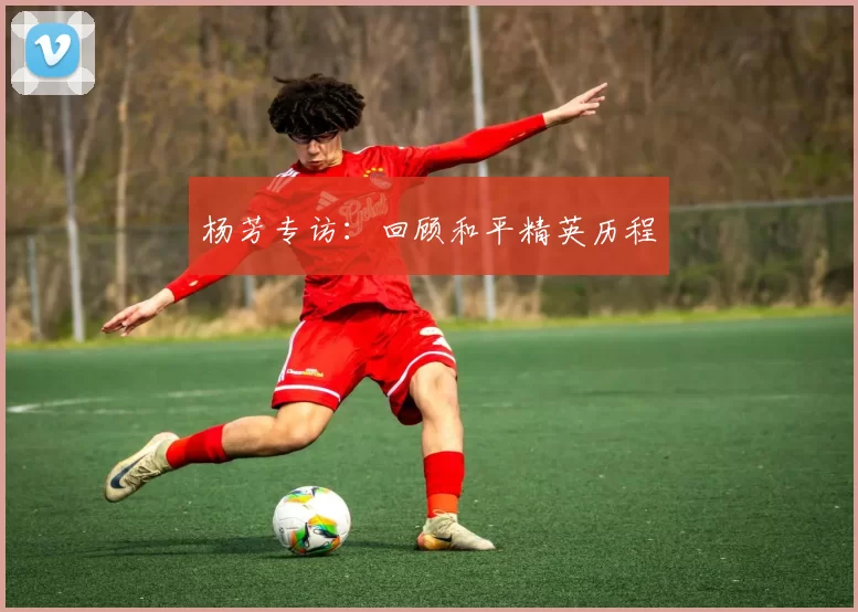 杨芳专访：回顾和平精英历程