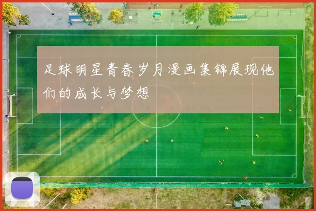 足球明星青春岁月漫画集锦展现他们的成长与梦想