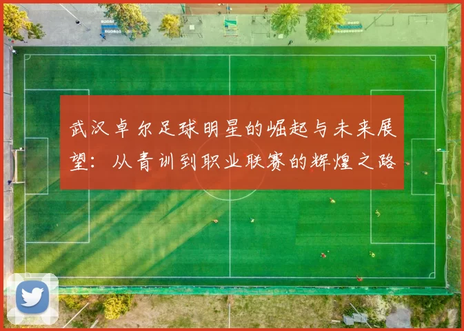 武汉卓尔足球明星的崛起与未来展望：从青训到职业联赛的辉煌之路