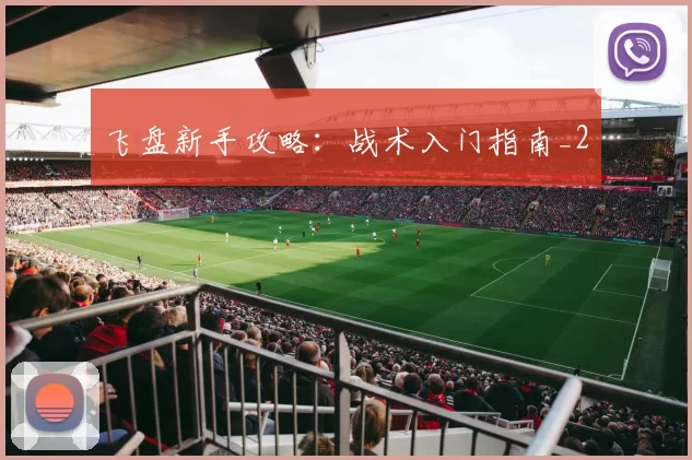 飞盘新手攻略：战术入门指南_2