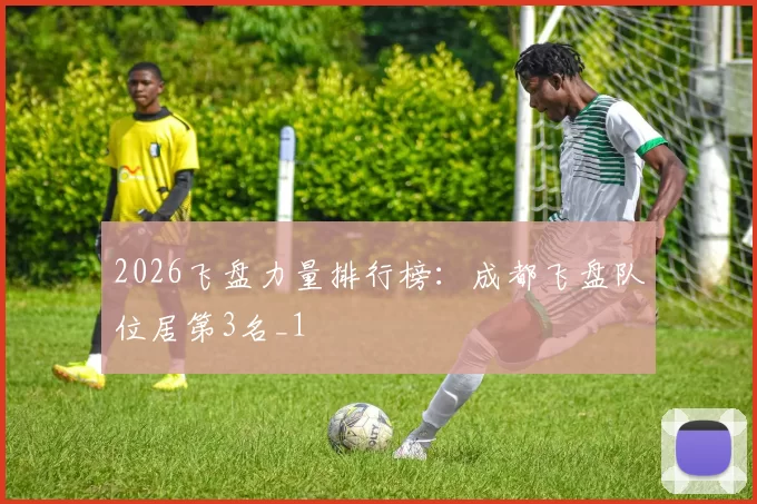 2026飞盘力量排行榜：成都飞盘队位居第3名_1