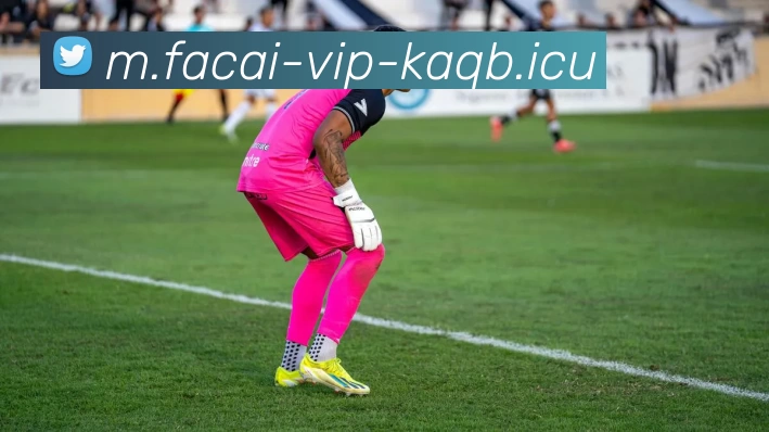 开云体育发展历程